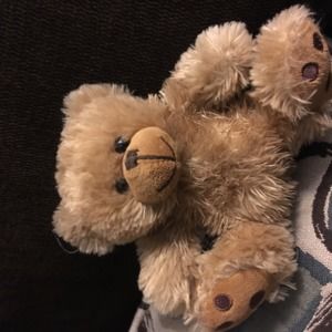 Meet your Posher, Pamela